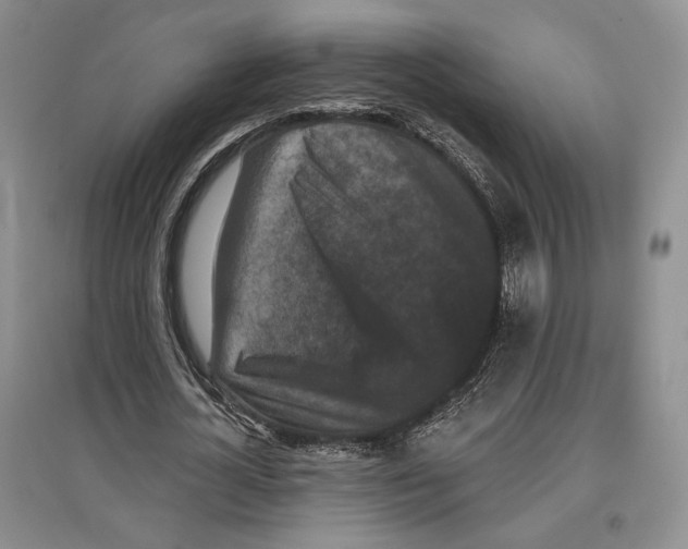 X0000097290724200803141510