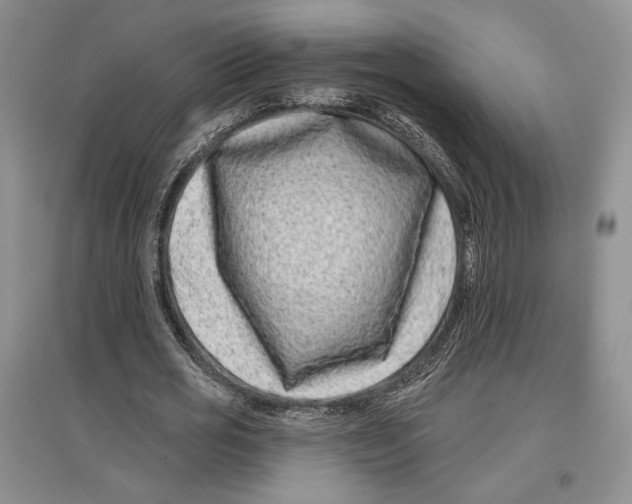 X0000097290725200803141510