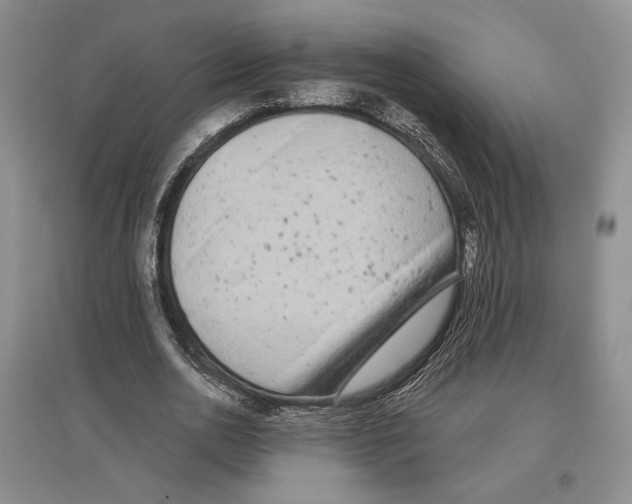 X0000097290726200803141510