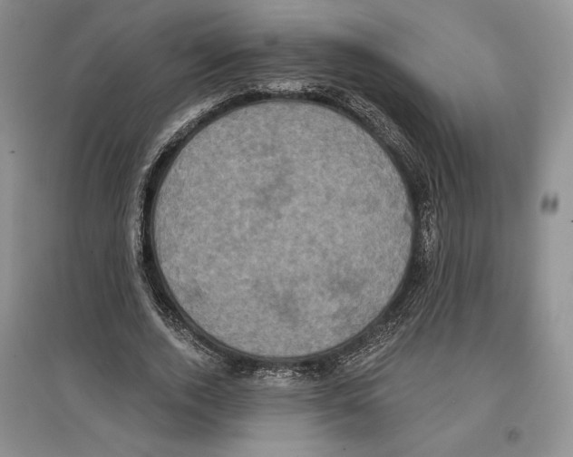 X0000097290728200803141510