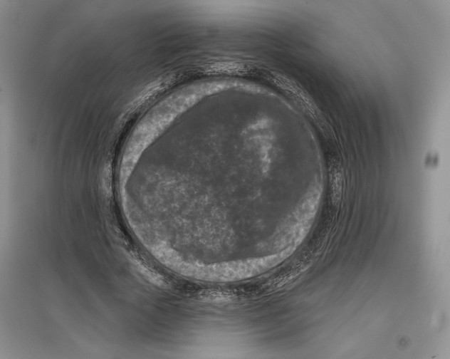 X0000097290729200803141510