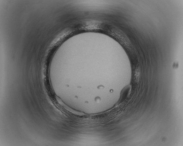 X0000097290732200803141510