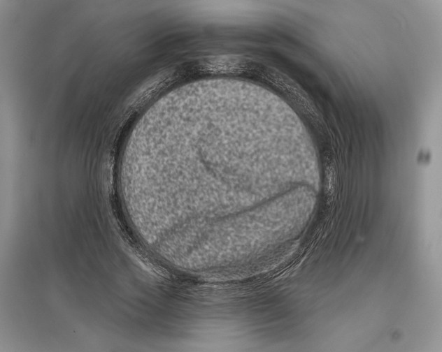 X0000097290733200803141510