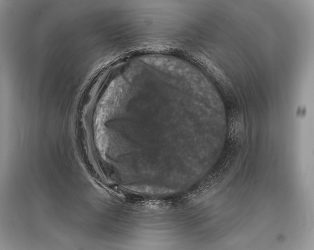 X0000097290736200803141510