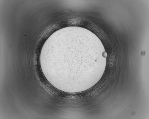 X0000097290738200803141510