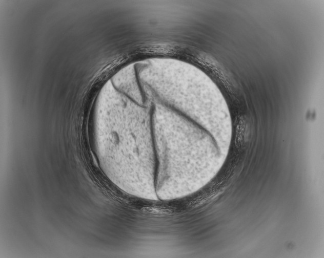 X0000097290739200803141510