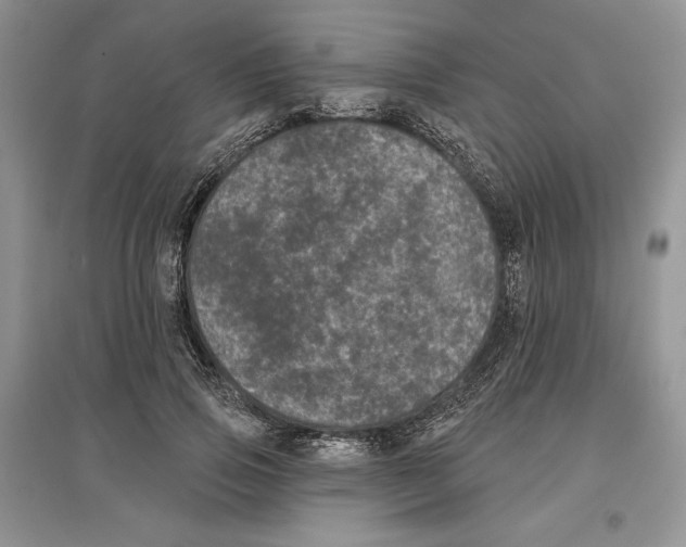 X0000097290741200803141510