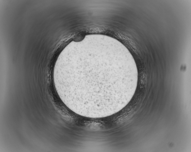 X0000097290743200803141510