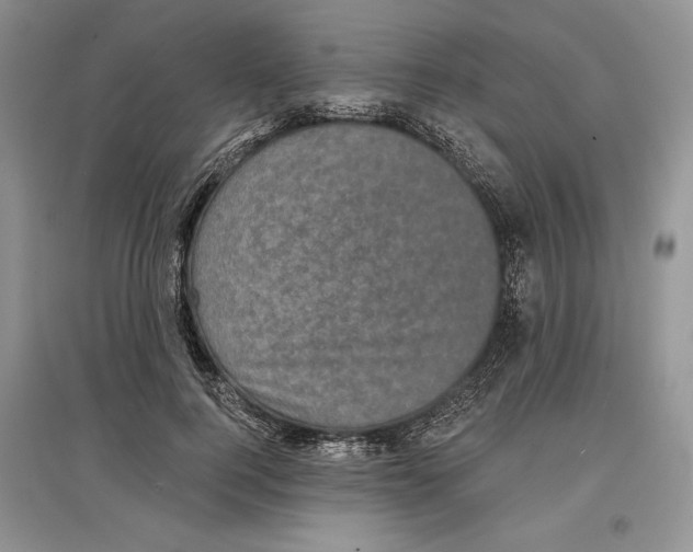 X0000097290744200803141510