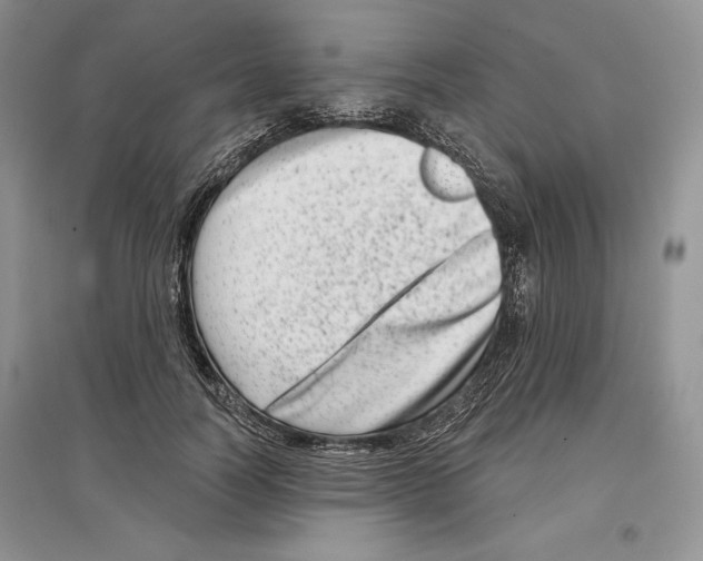 X0000097290746200803141510