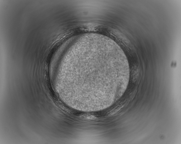 X0000097290747200803141510