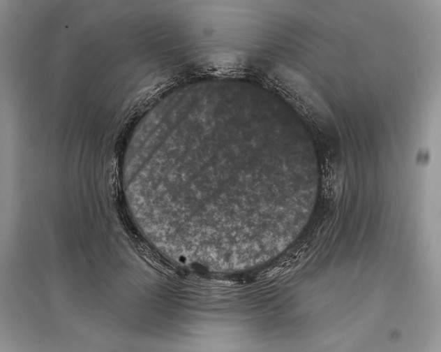 X0000097290748200803141510