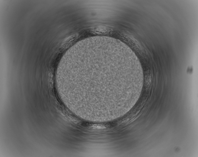 X0000097290749200803141510