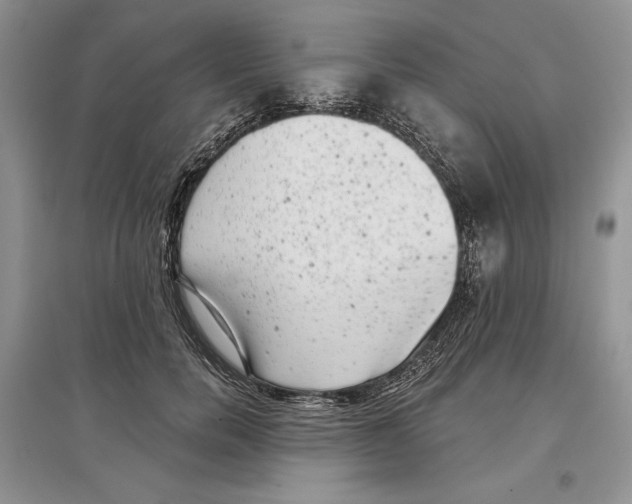 X0000097290750200803141510