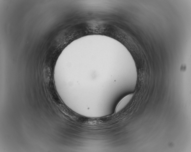 X0000097290752200803141510