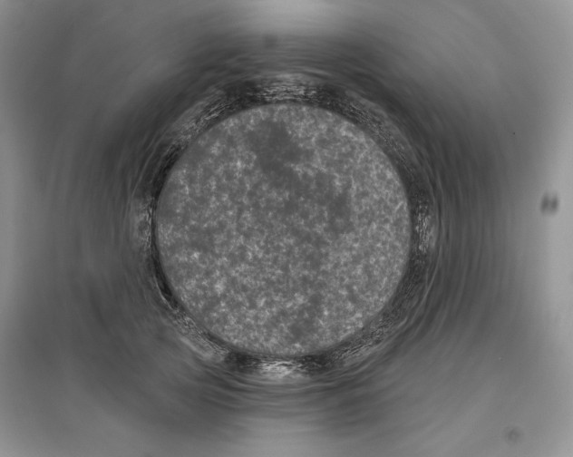 X0000097290753200803141510