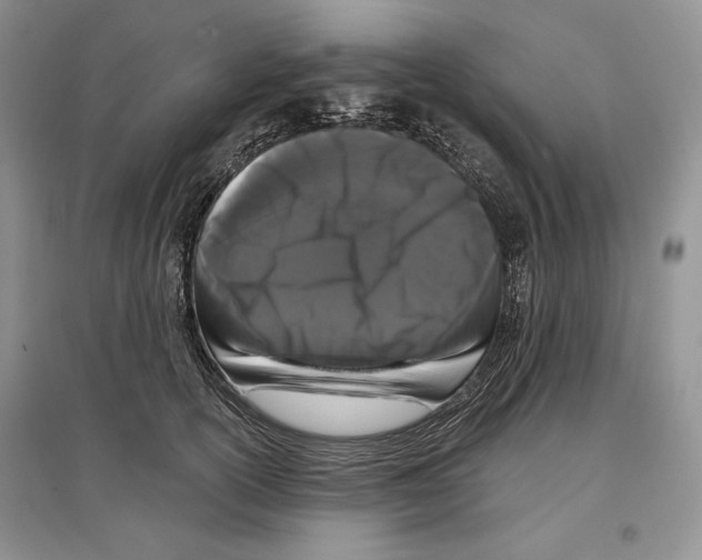 X0000097290754200803141510