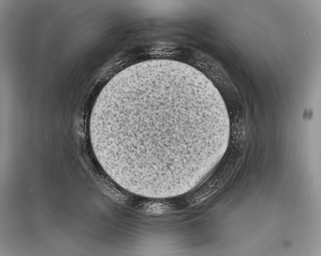 X0000097290755200803141510