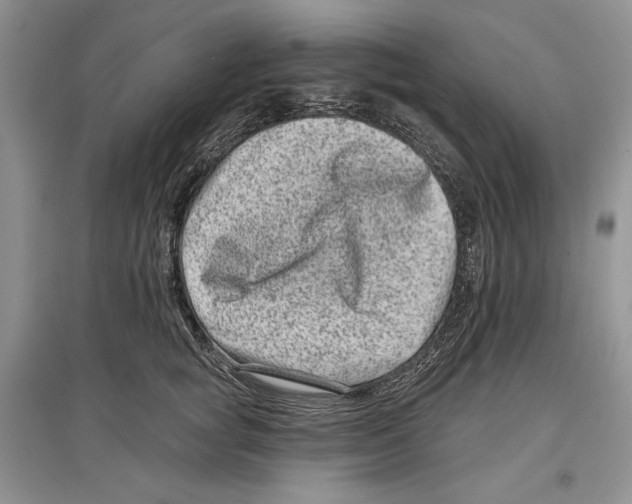 X0000097290757200803141510