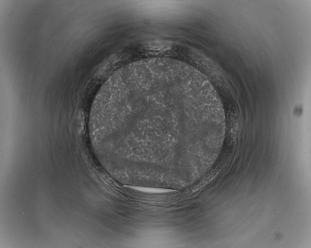 X0000097290758200803141510