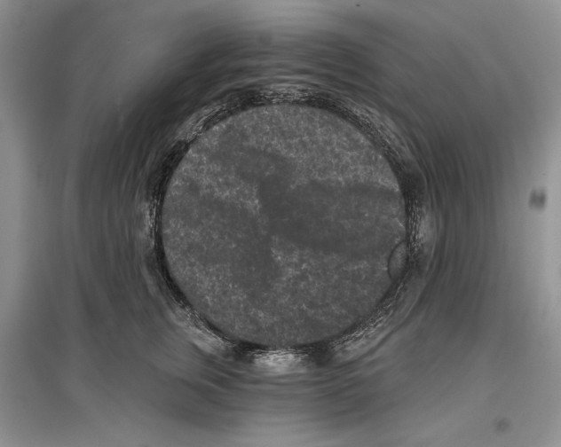 X0000097290759200803141510