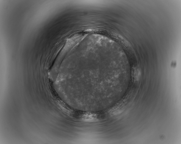 X0000097290760200803141510