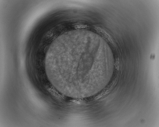 X0000097290763200803141510