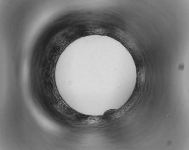 X0000097290764200803141510