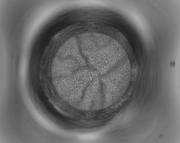 X0000097290765200803141510