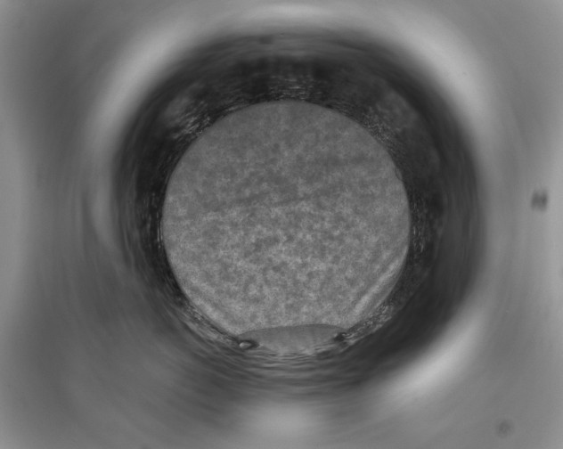 X0000097290766200803141510