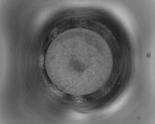 X0000097290767200803141510