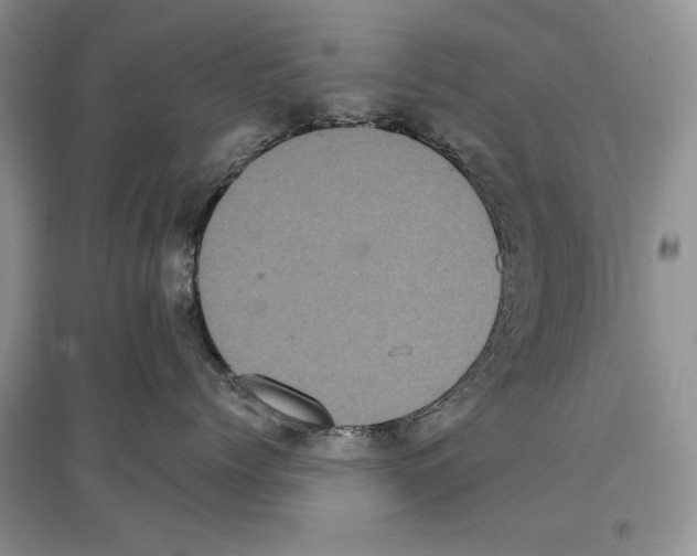 X0000097290768200803141510