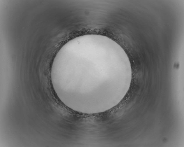 X0000097290769200803141510