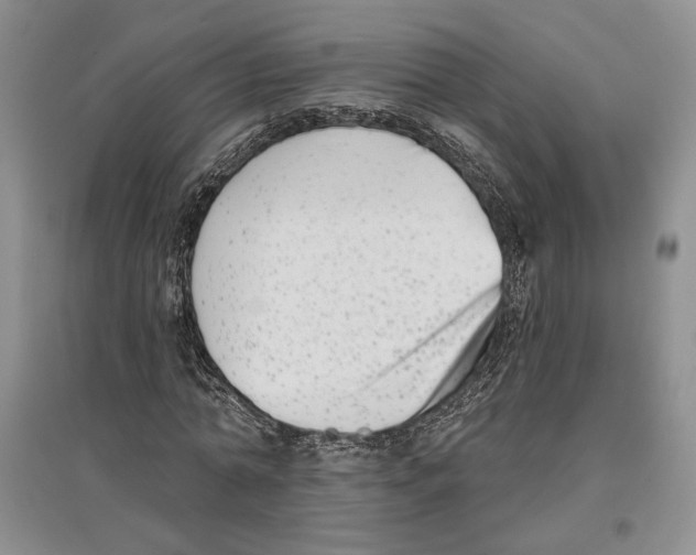 X0000097290774200803141510