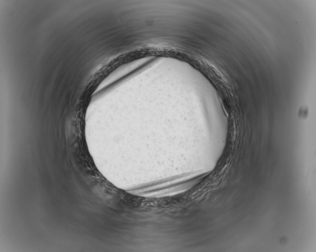 X0000097290776200803141510