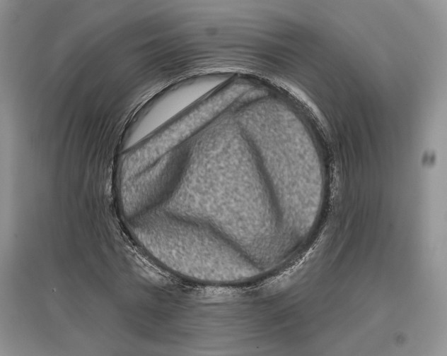 X0000097290777200803141510