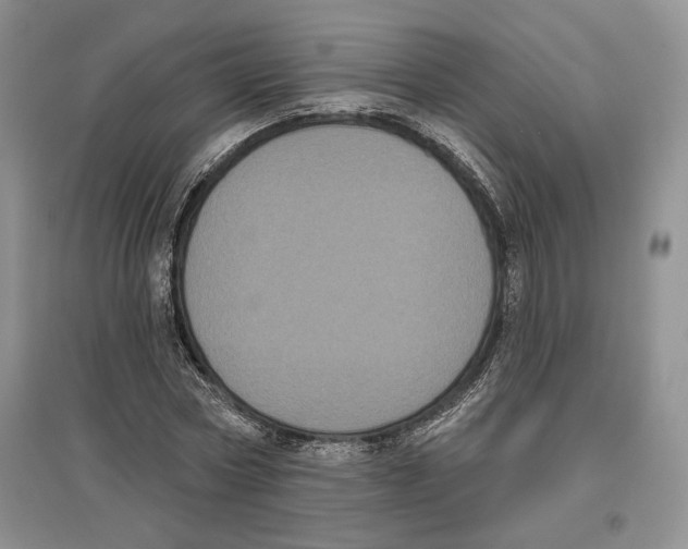 X0000097290778200803141510