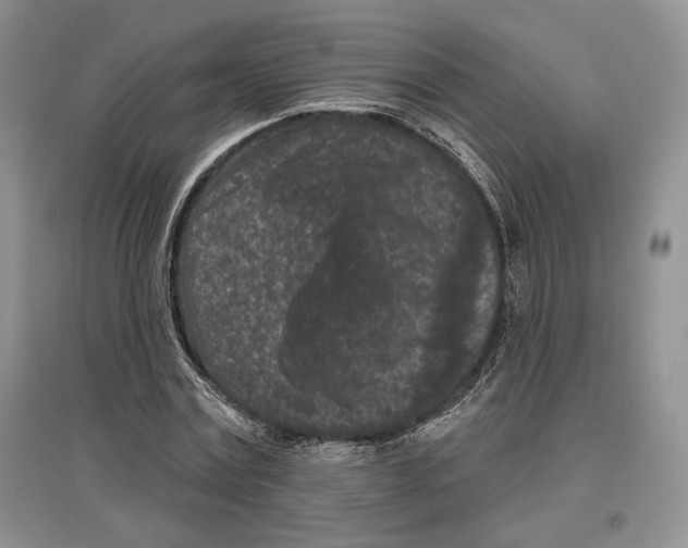 X0000097290779200803141509