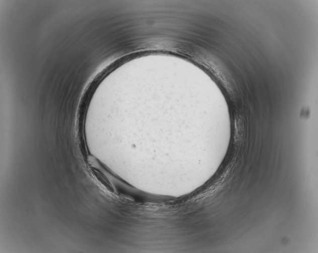 X0000097290780200803141509