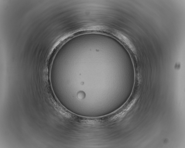 X0000097290781200803141509