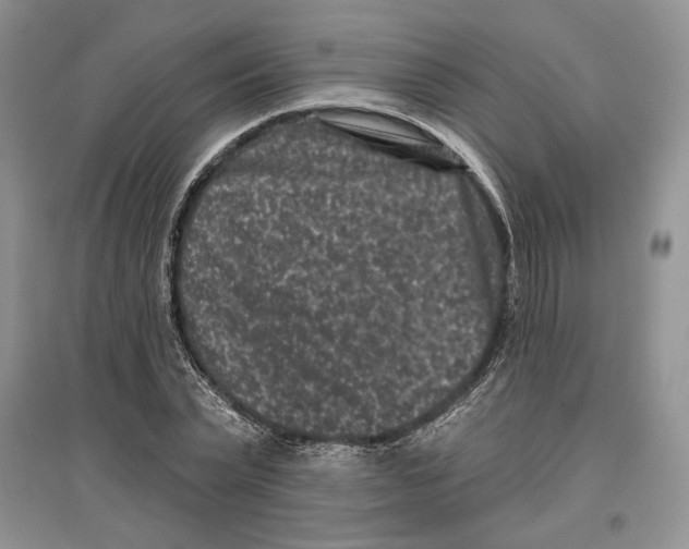 X0000097290783200803141509