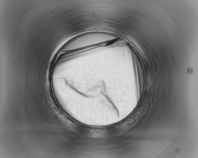 X0000097290788200803141509