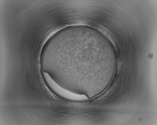 X0000097290789200803141509