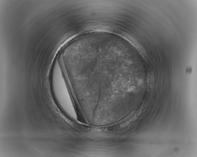 X0000097290790200803141509