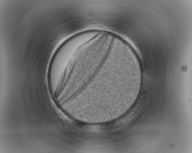 X0000097290791200803141509