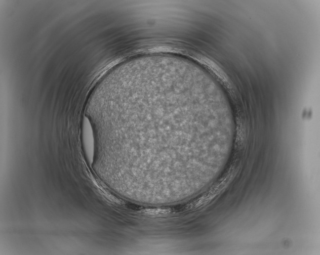 X0000097290793200803141509