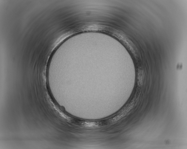 X0000097290794200803141509