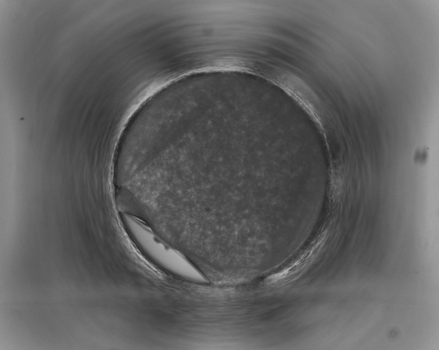 X0000097290797200803141509