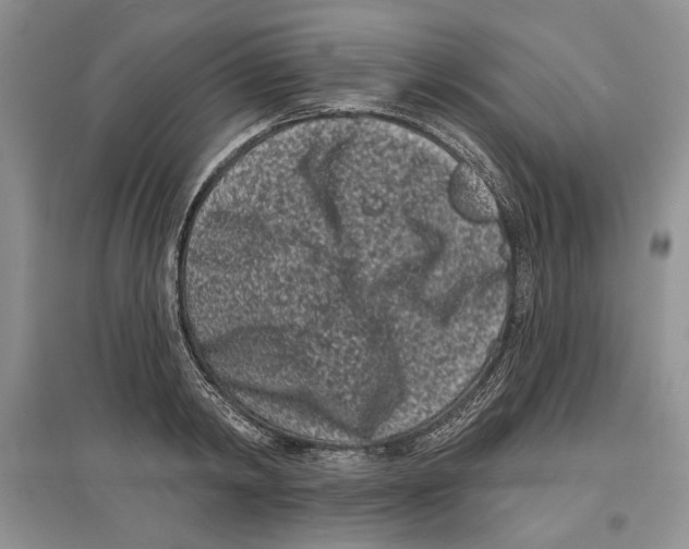 X0000097290798200803141509