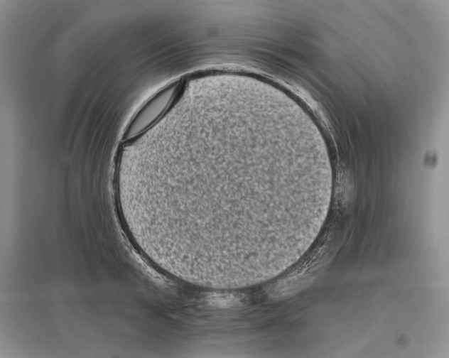 X0000097290799200803141509